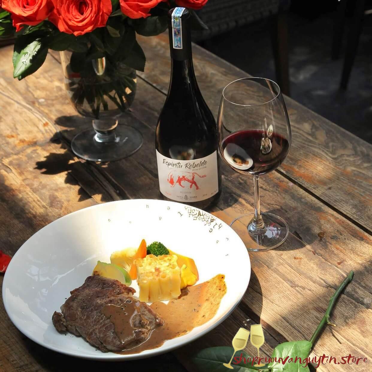 Espiritu Rebelde Syrah Reserva