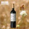 Raíz De Chile Gran Reserva Cabernet Sauvignon