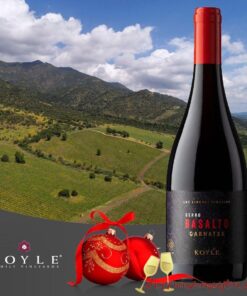 Koyle Cerro Basalto Garnatxa