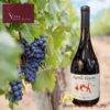Espiritu Rebelde Syrah Reserva