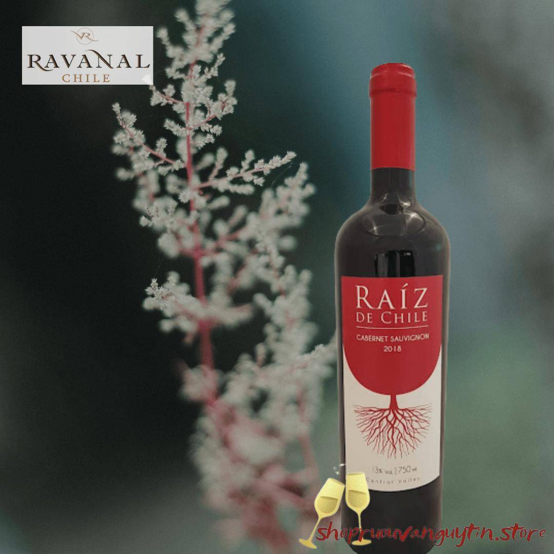 Raíz De Chile Cabernet Sauvignon