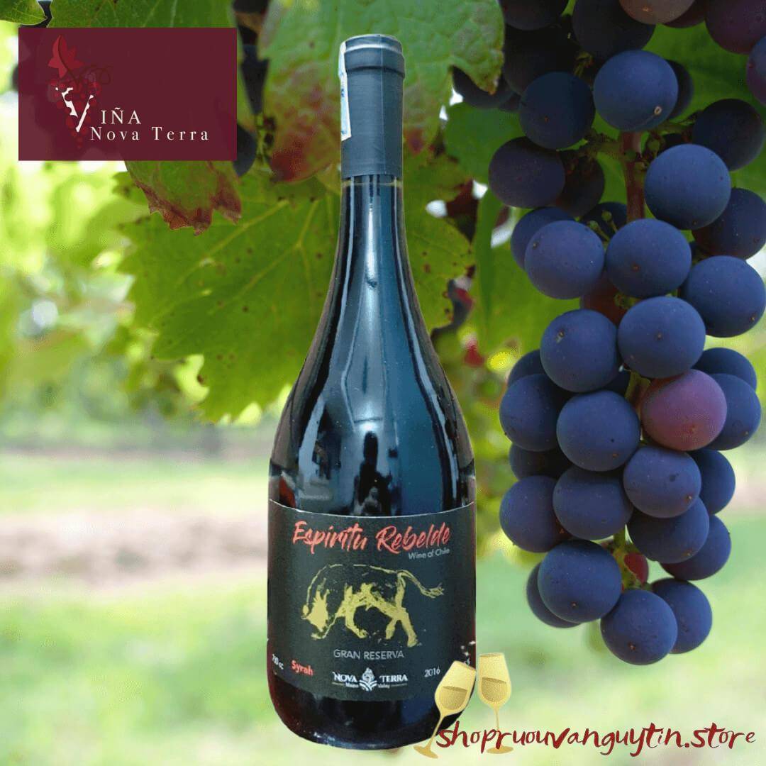 Espiritu Rebelde Syrah Gran Reserva (Bò đen)