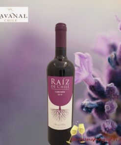 Raíz de Chile Carmenere