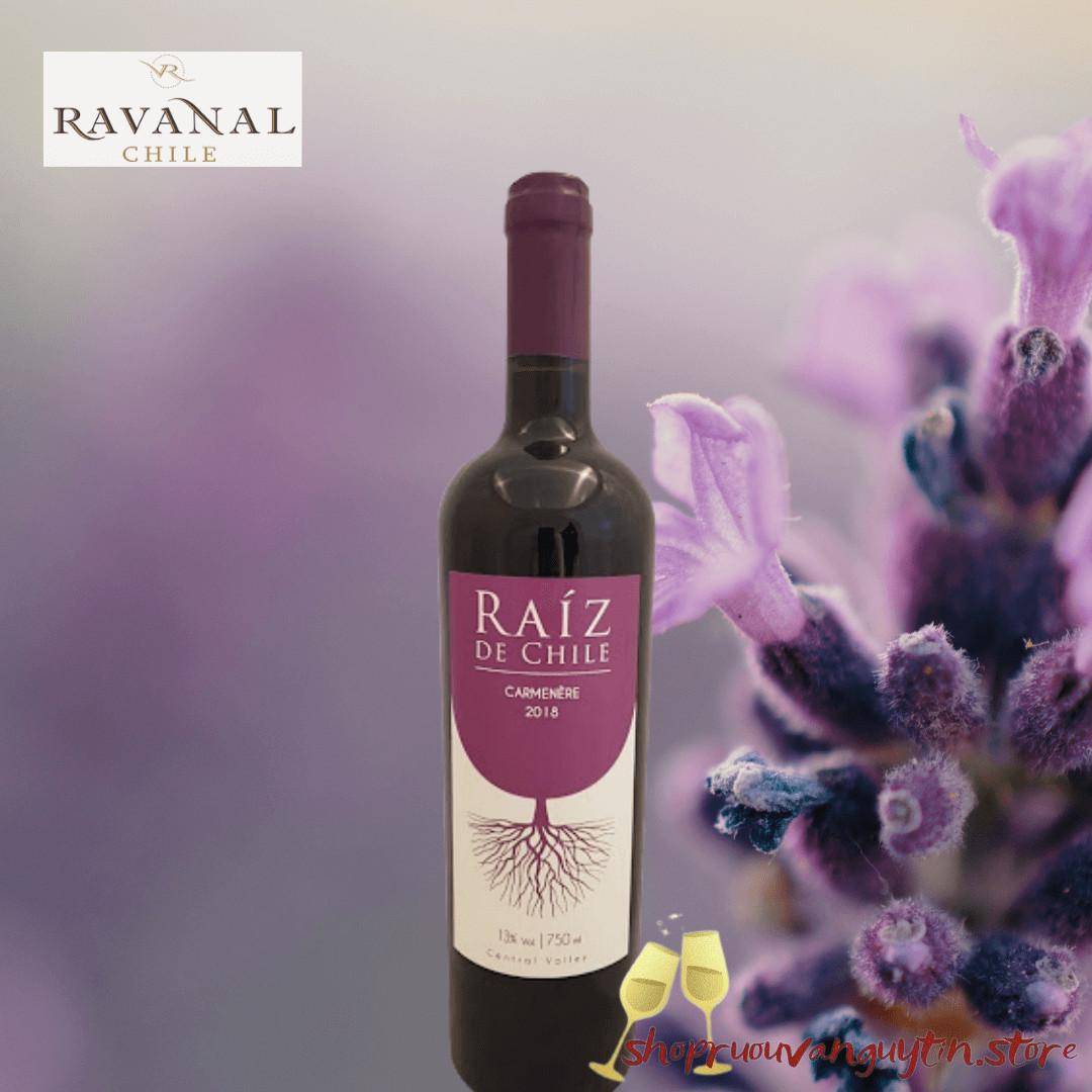 Raíz de Chile Carmenere