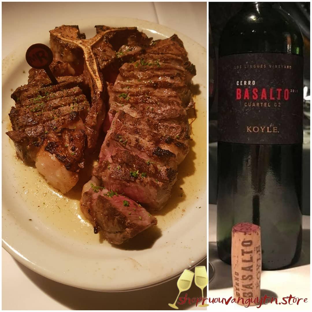 Koyle Cerro Basalto Cuartel G2