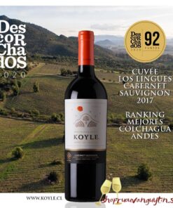 Koyle Gran Reserva Cabernet Sauvignon