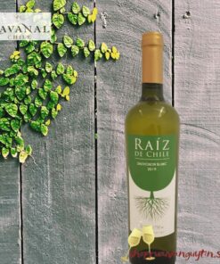 Raíz de Chile Sauvignon Blanc