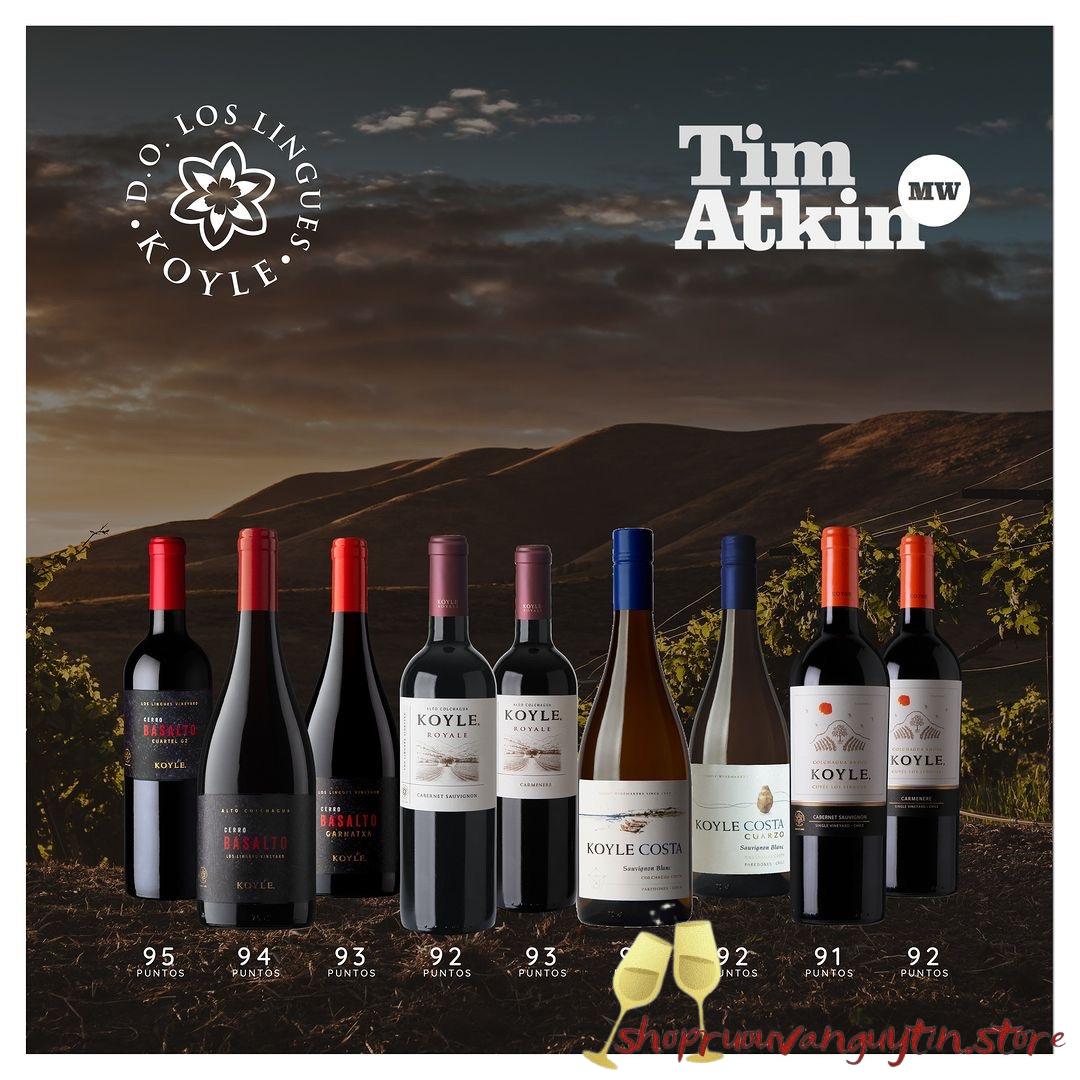 Rượu Vang Chile Koyle Costa Cuarzo Sauvignon Blanc - Hình ảnh 4