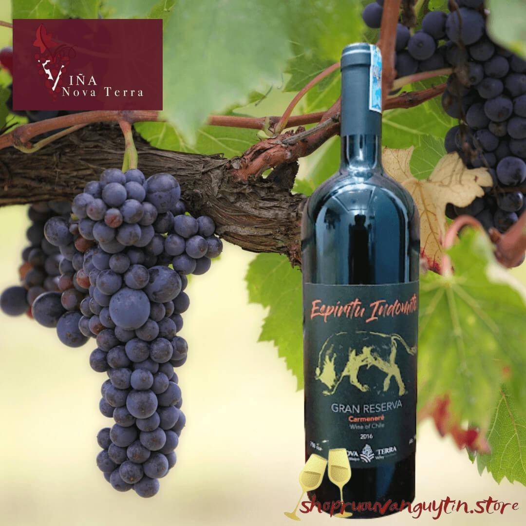 Espiritu Indomito Carmenere Gran Reserva (Bò đen)