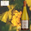Amelia Park Chardonnay