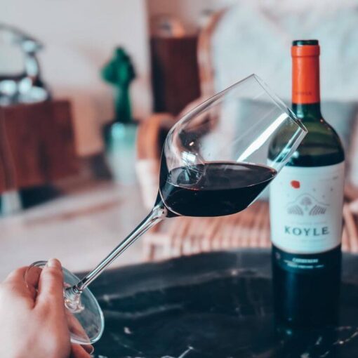 Rượu Vang Chile Koyle Cuvee Los Lingues Carmenere - Hình ảnh 2