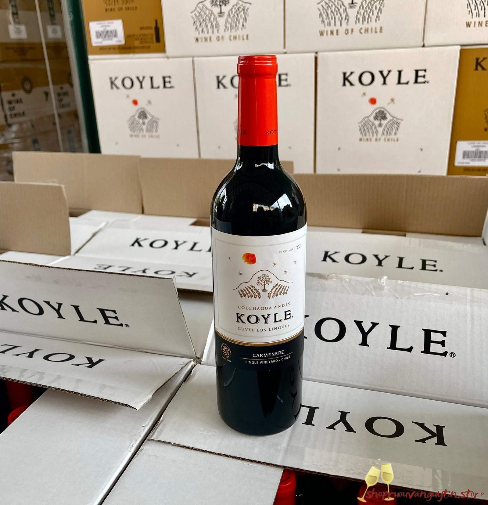 Rượu Vang Chile Koyle Cuvee Los Lingues Carmenere - Hình ảnh 3