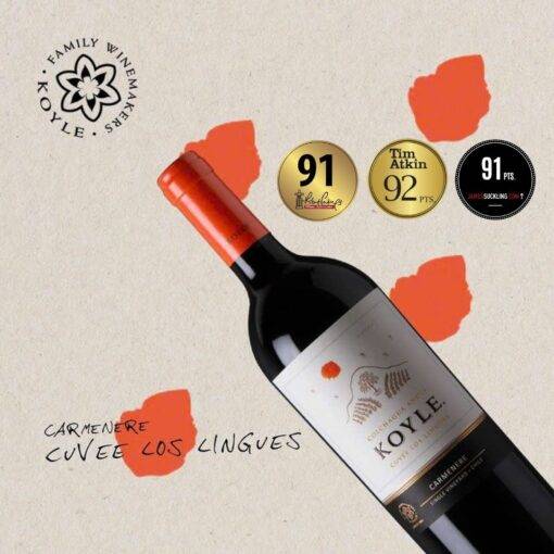 Rượu Vang Chile Koyle Cuvee Los Lingues Carmenere