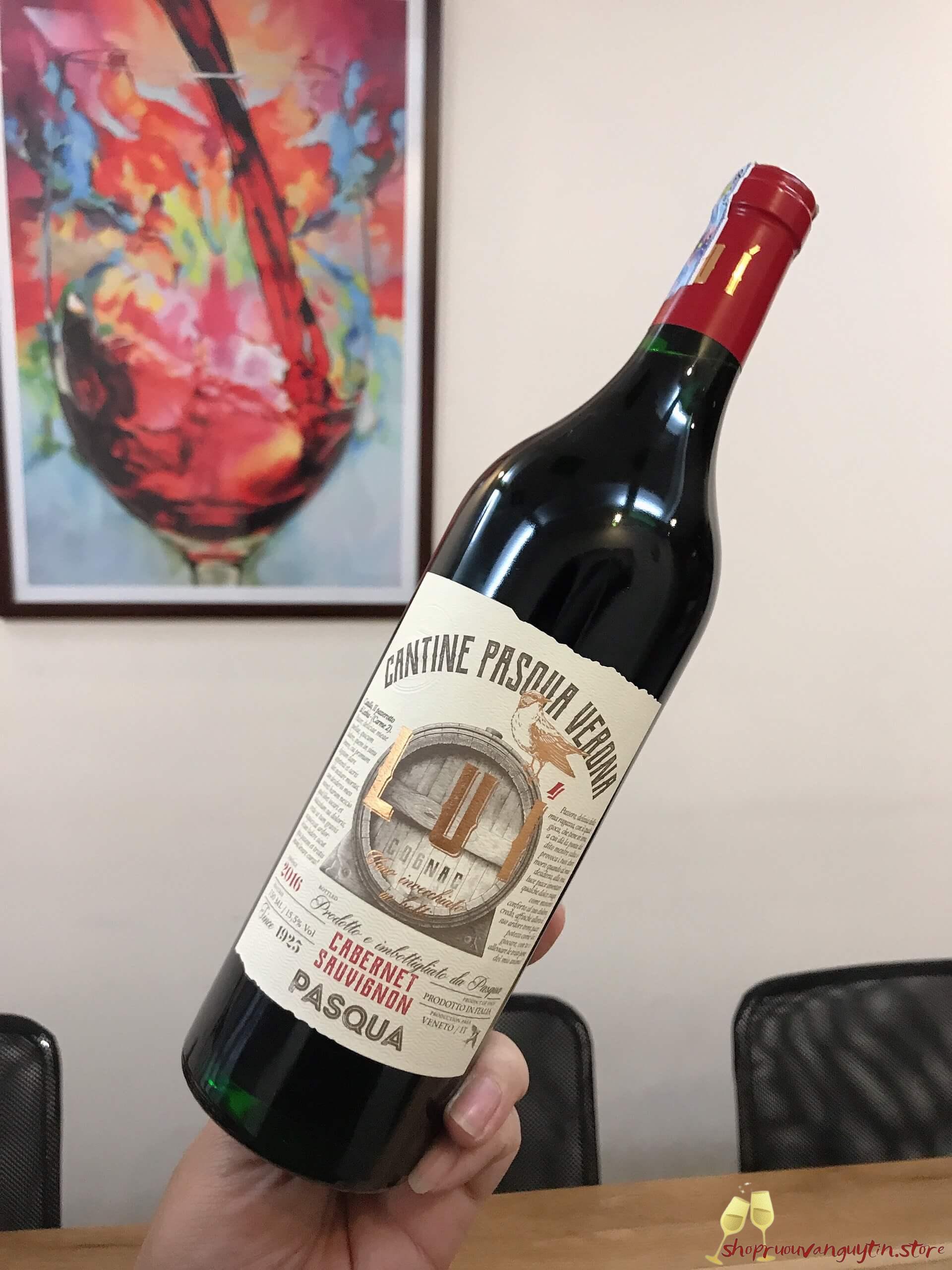 RƯỢU VANG Ý PASQUA LUÍ – CABERNET SAUVIGNON VENETO – IGT - Hình ảnh 4