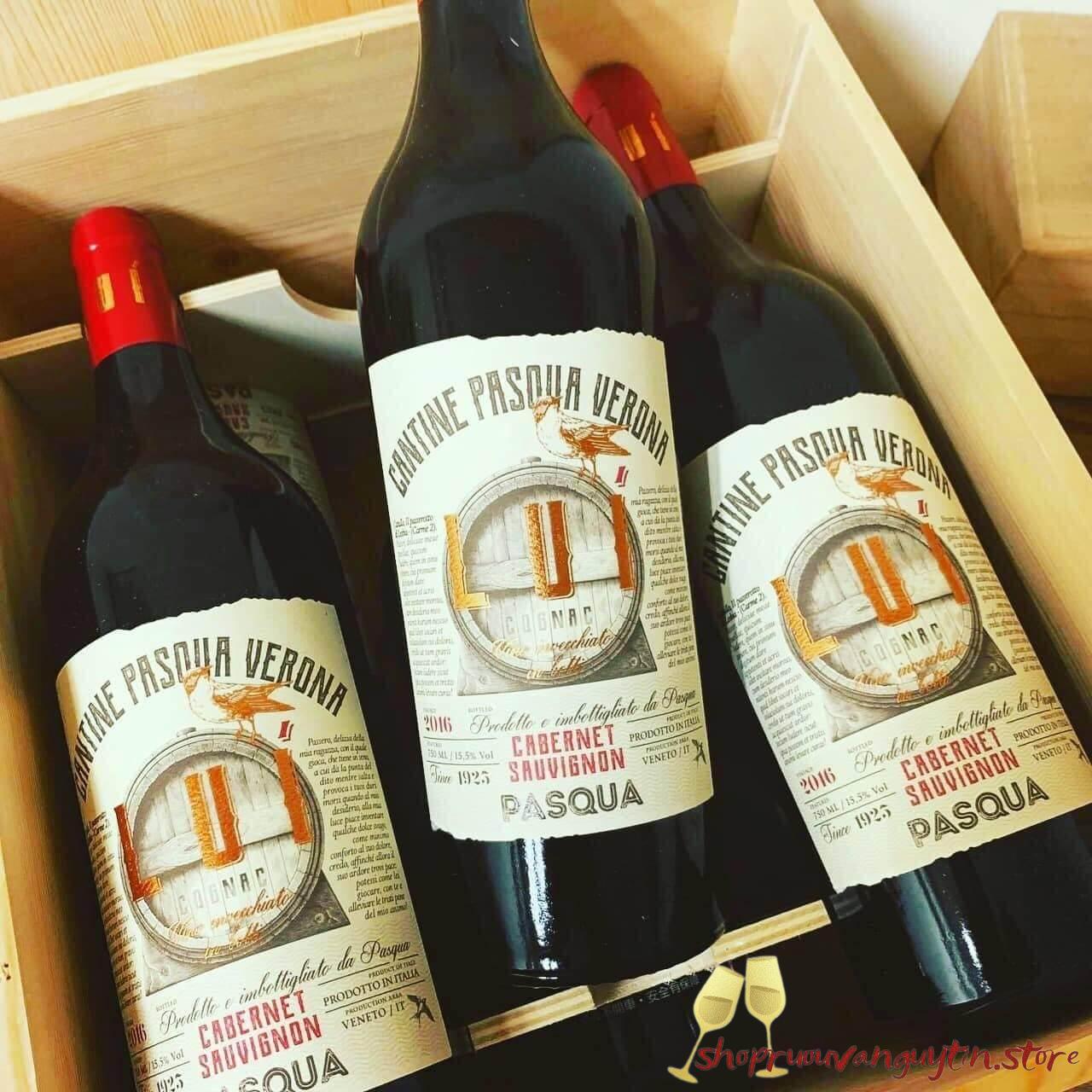 RƯỢU VANG Ý PASQUA LUÍ – CABERNET SAUVIGNON VENETO – IGT - Hình ảnh 3