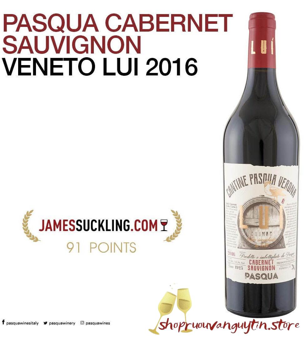 RƯỢU VANG Ý PASQUA LUÍ – CABERNET SAUVIGNON VENETO – IGT - Hình ảnh 6