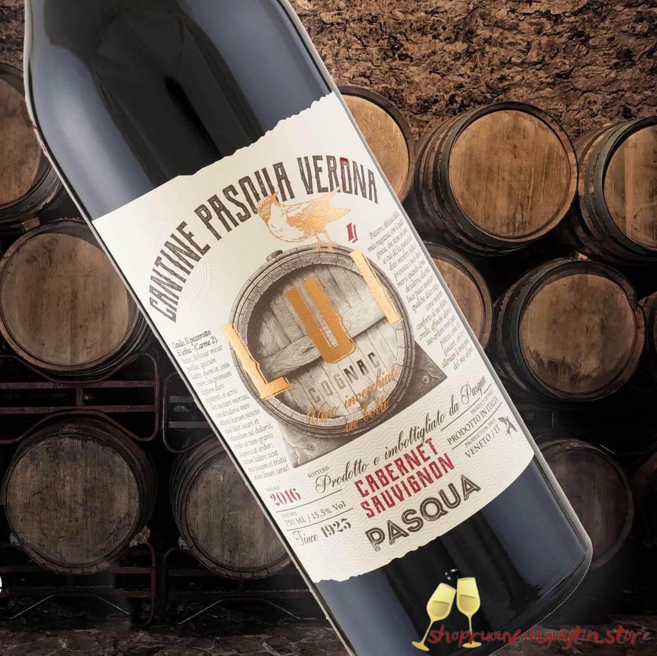 RƯỢU VANG Ý PASQUA LUÍ – CABERNET SAUVIGNON VENETO – IGT - Hình ảnh 5