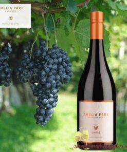 Amelia Park Shiraz