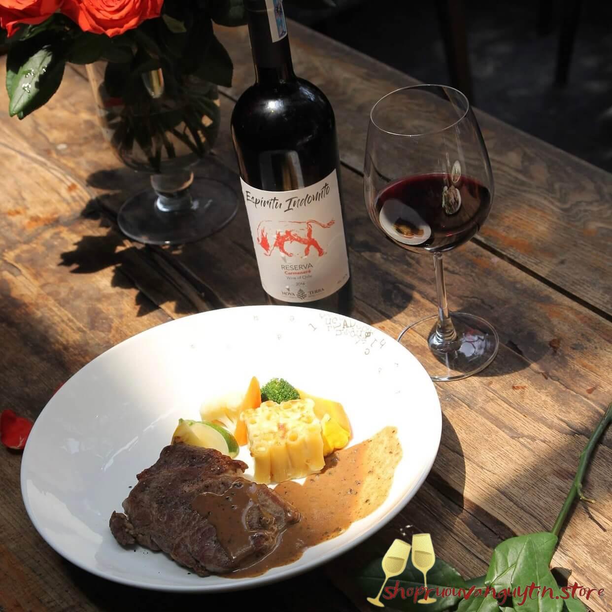 Espiritu Indomito Carmenere Reserva (Bò đỏ)