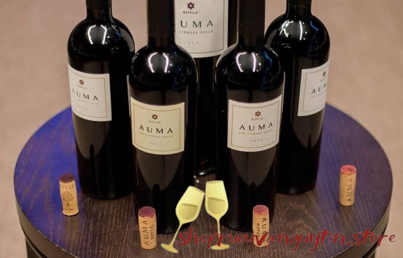 rượu vang Chile Koyle Auma