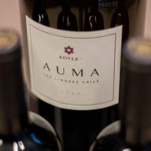 Rượu Vang Chile Koyle Auma - Hình ảnh 3
