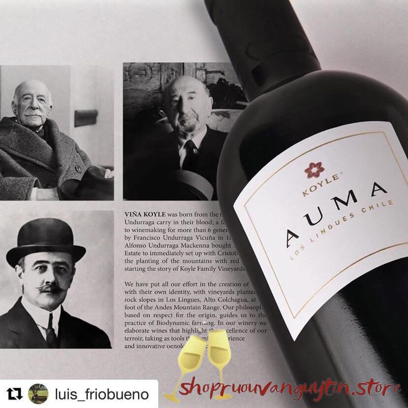 Rượu Vang Chile Koyle Auma - Hình ảnh 6