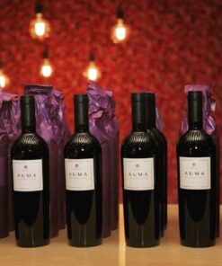 rượu vang Chile Koyle Auma