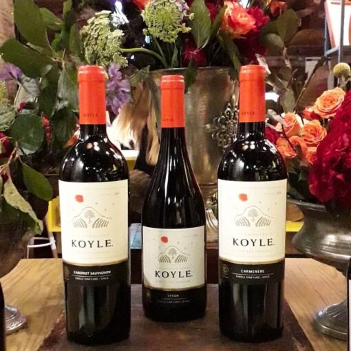 Rượu Vang Chile Koyle Cuvee Los Lingues Carmenere - Hình ảnh 5