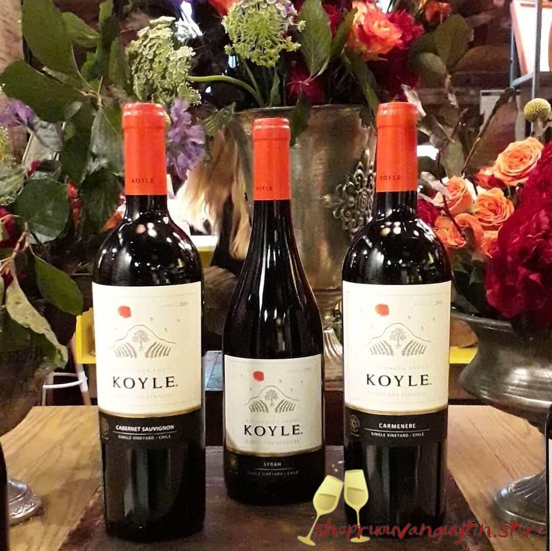 Rượu Vang Chile Koyle Cuvee Los Lingues Carmenere - Hình ảnh 5