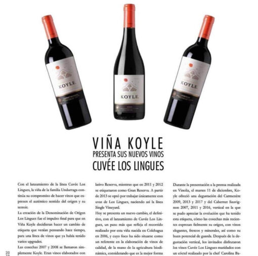 Rượu Vang Chile Koyle Cuvee Los Lingues Carmenere - Hình ảnh 4