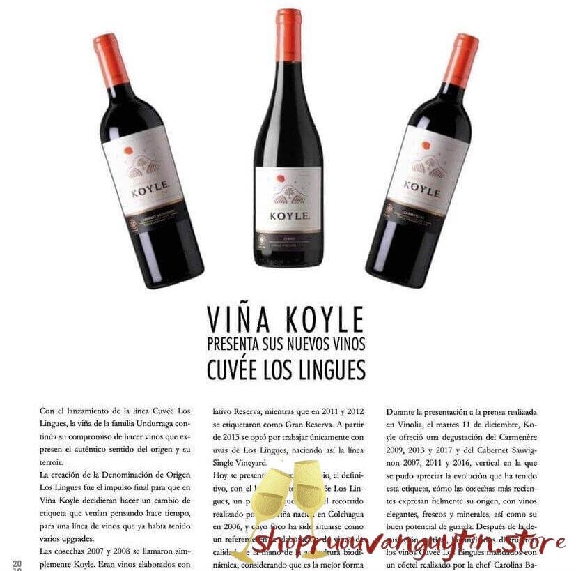 Rượu Vang Chile Koyle Cuvee Los Lingues Carmenere - Hình ảnh 4