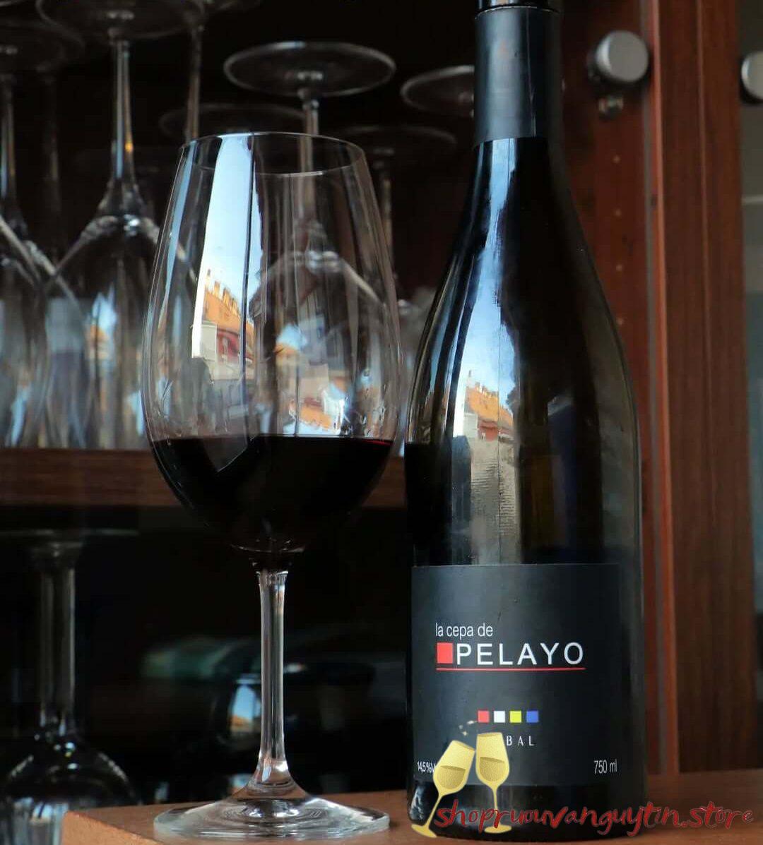 Rượu Vang Đỏ La Cepa De Pelayo Bobal - Hình ảnh 3