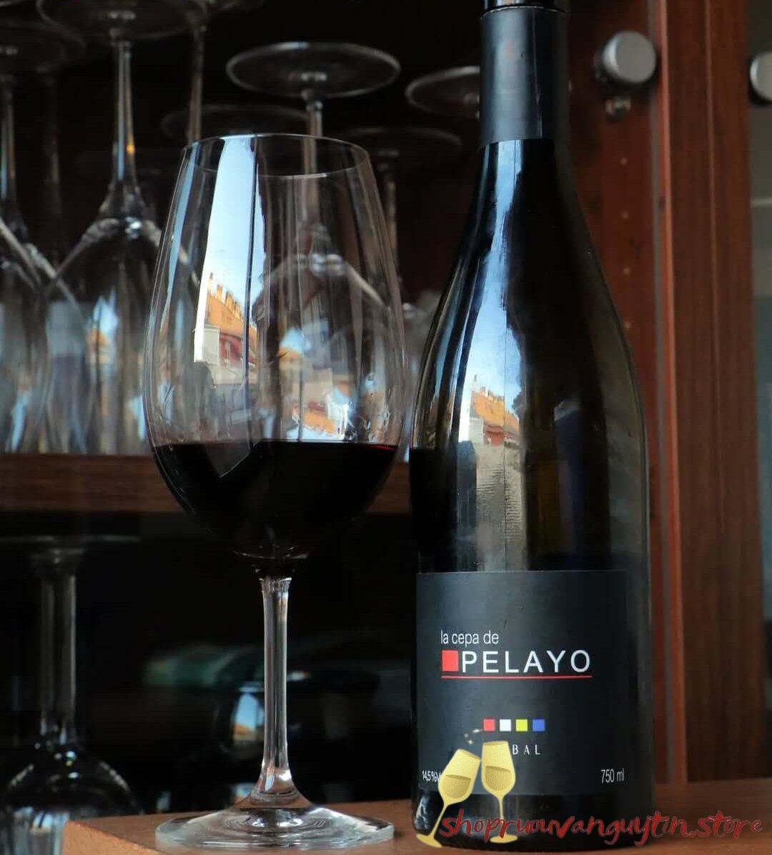 Rượu Vang Đỏ La Cepa De Pelayo Bobal - Hình ảnh 3