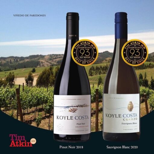 Rượu Vang Chile Koyle Costa Cuarzo Sauvignon Blanc - Hình ảnh 5