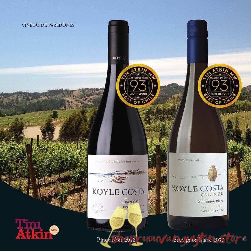 Rượu Vang Chile Koyle Costa Cuarzo Sauvignon Blanc - Hình ảnh 5