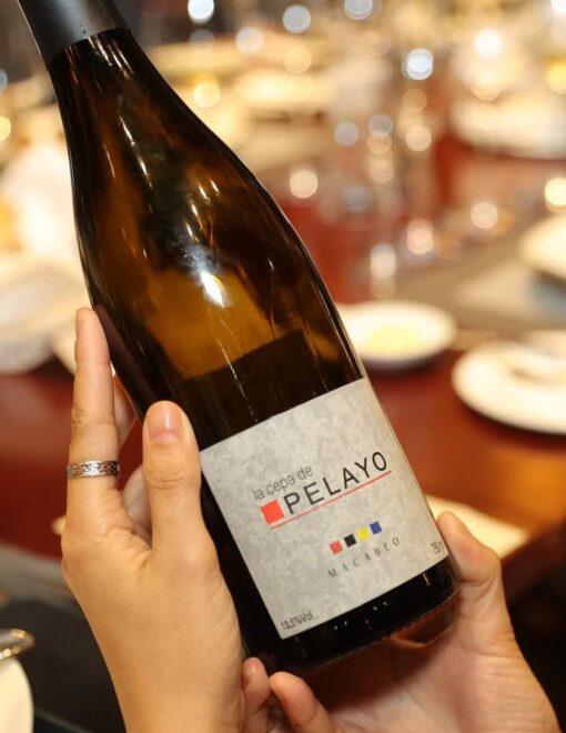 Rượu Vang Trắng La Cepa De Pelayo Macabeo (Tem Trắng) - Hình ảnh 2