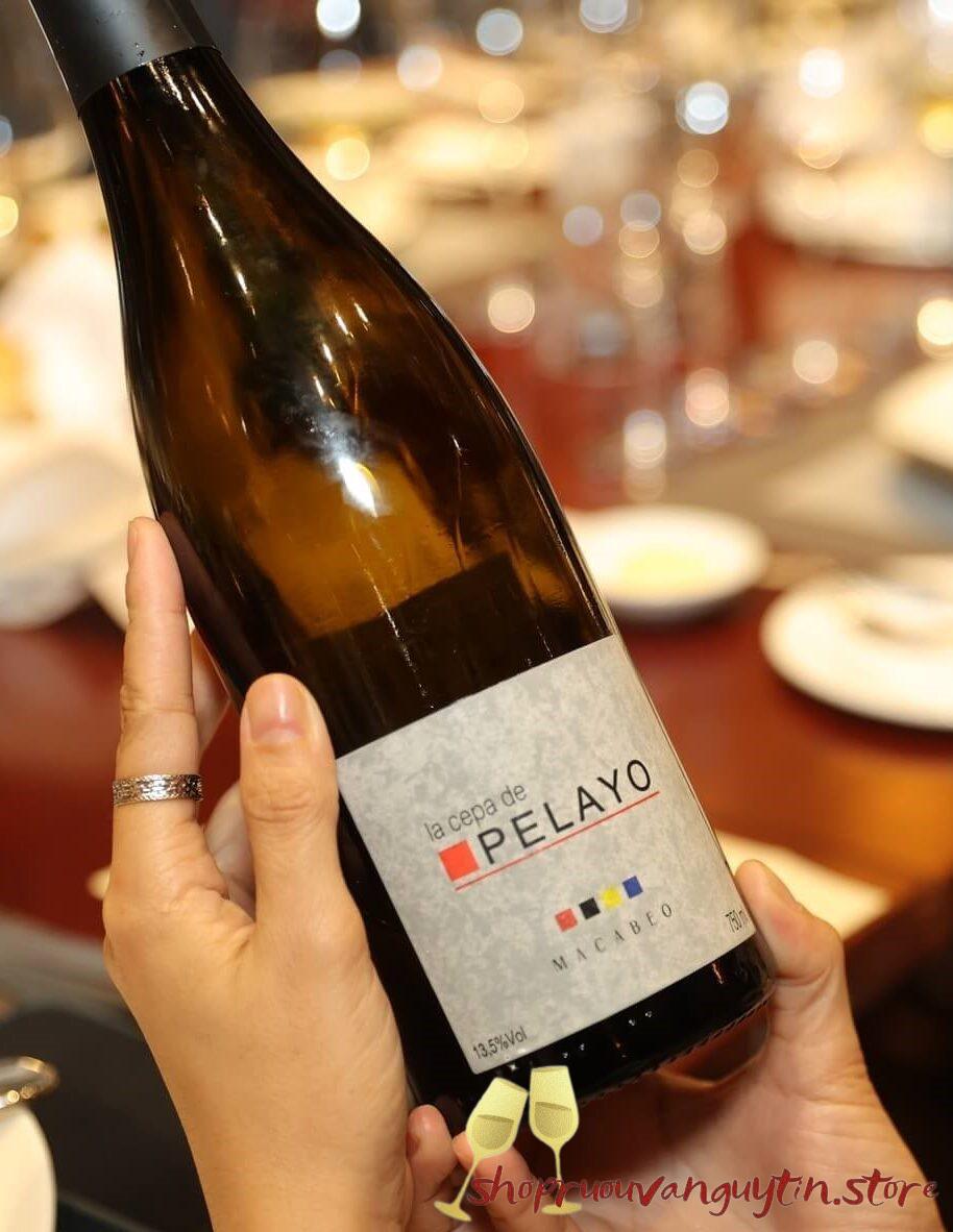 Rượu Vang Trắng La Cepa De Pelayo Macabeo (Tem Trắng) - Hình ảnh 2