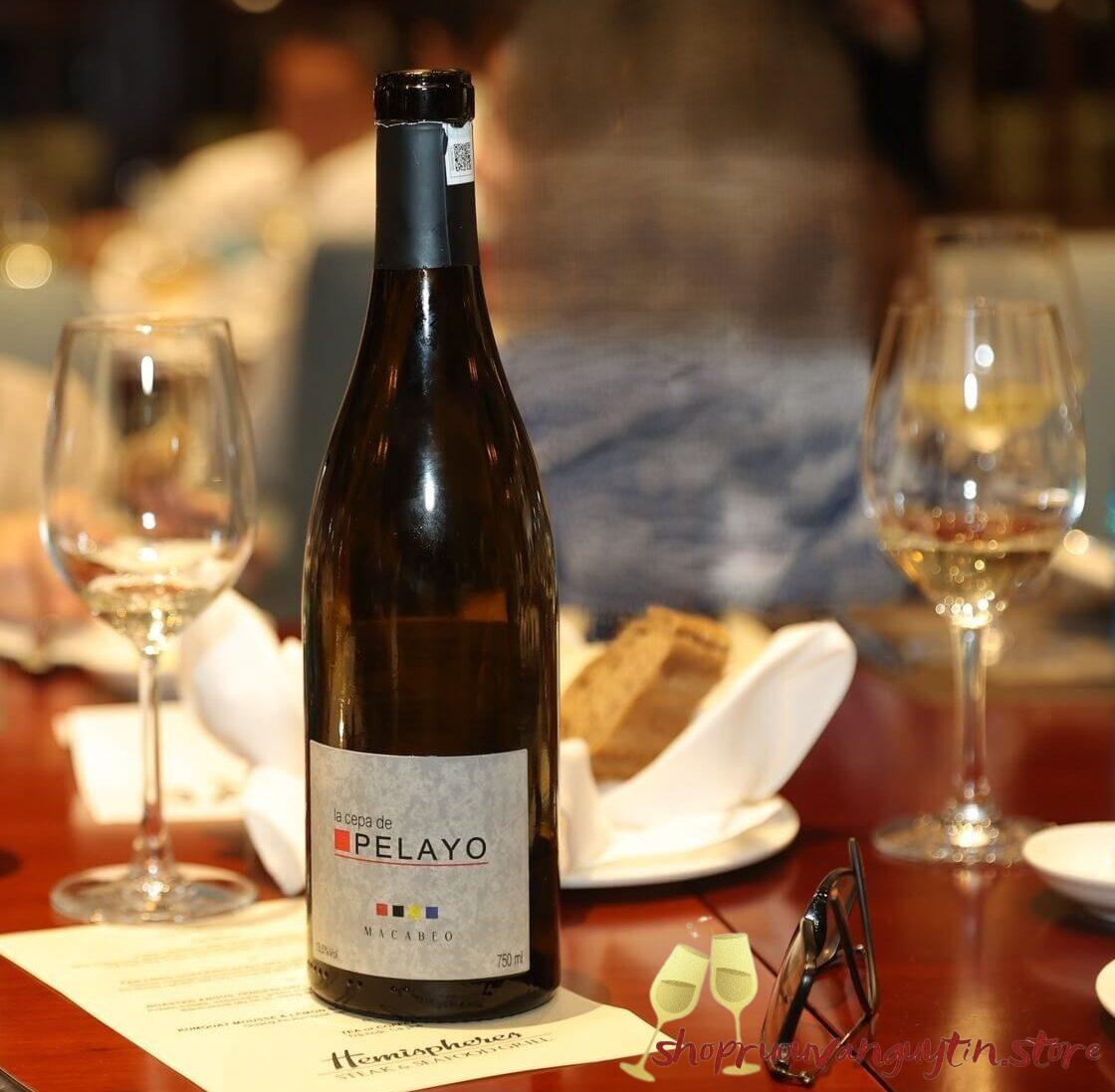 Rượu Vang Trắng La Cepa De Pelayo Macabeo (Tem Trắng) - Hình ảnh 3