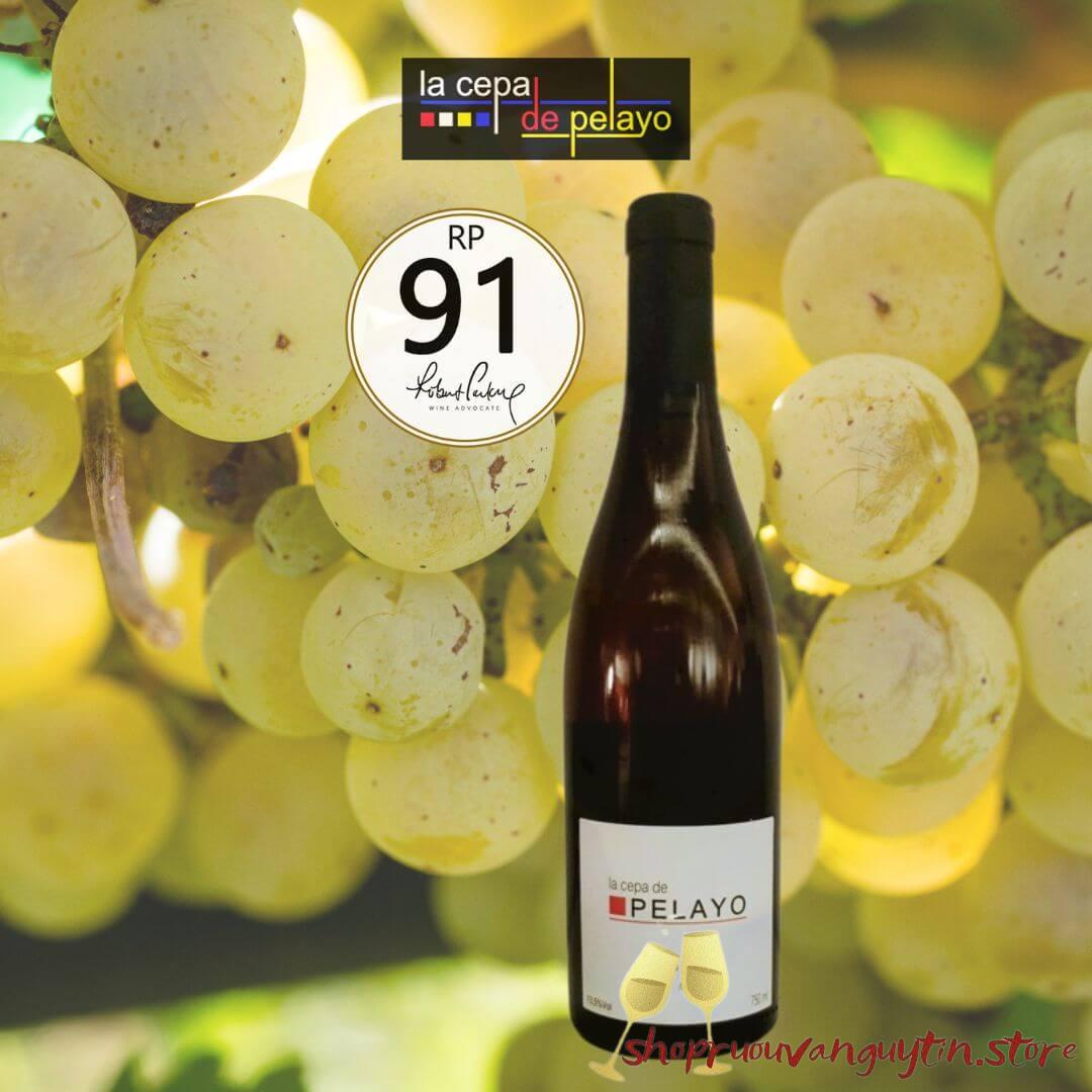 Rượu Vang Trắng La Cepa De Pelayo Macabeo (Tem Trắng)