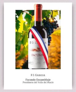 P.S Garcia Facundo Blend; rượu vang đỏ Chile