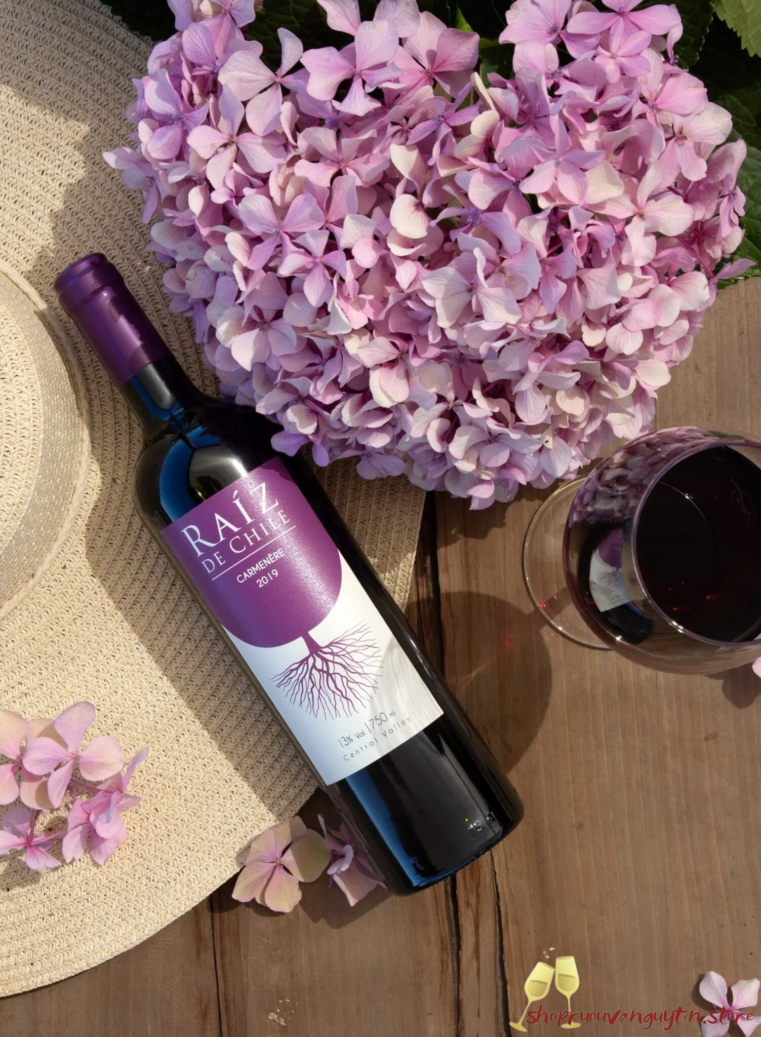 raiz de Chile Carmenere; RAÍZ DE CHILE CARMENÈRE