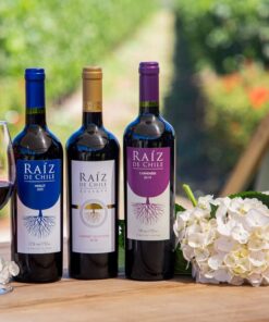 Raiz de Chile; Raiz de Chile Carmenere; Raiz de Chile Cabernet Sauvignon Reserva