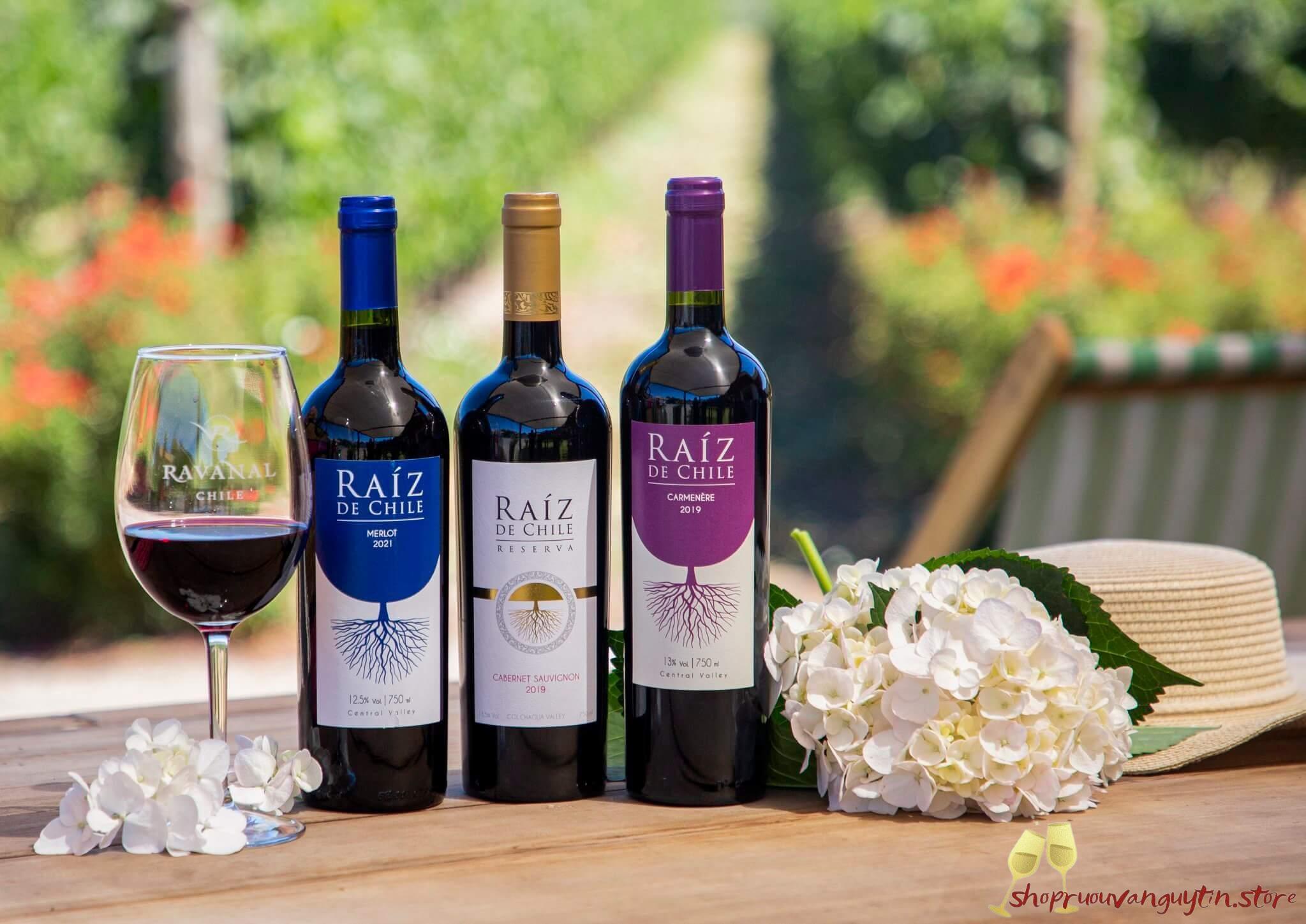 Raiz de Chile; Raiz de Chile Carmenere; Raiz de Chile Cabernet Sauvignon Reserva