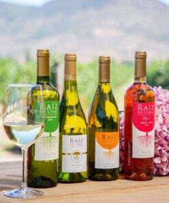 Raiz de Chile; Raiz de Chile Sauvignon Blanc; Raiz de Chile Chardonnay; Raiz de Chile Reserva Chardonnay