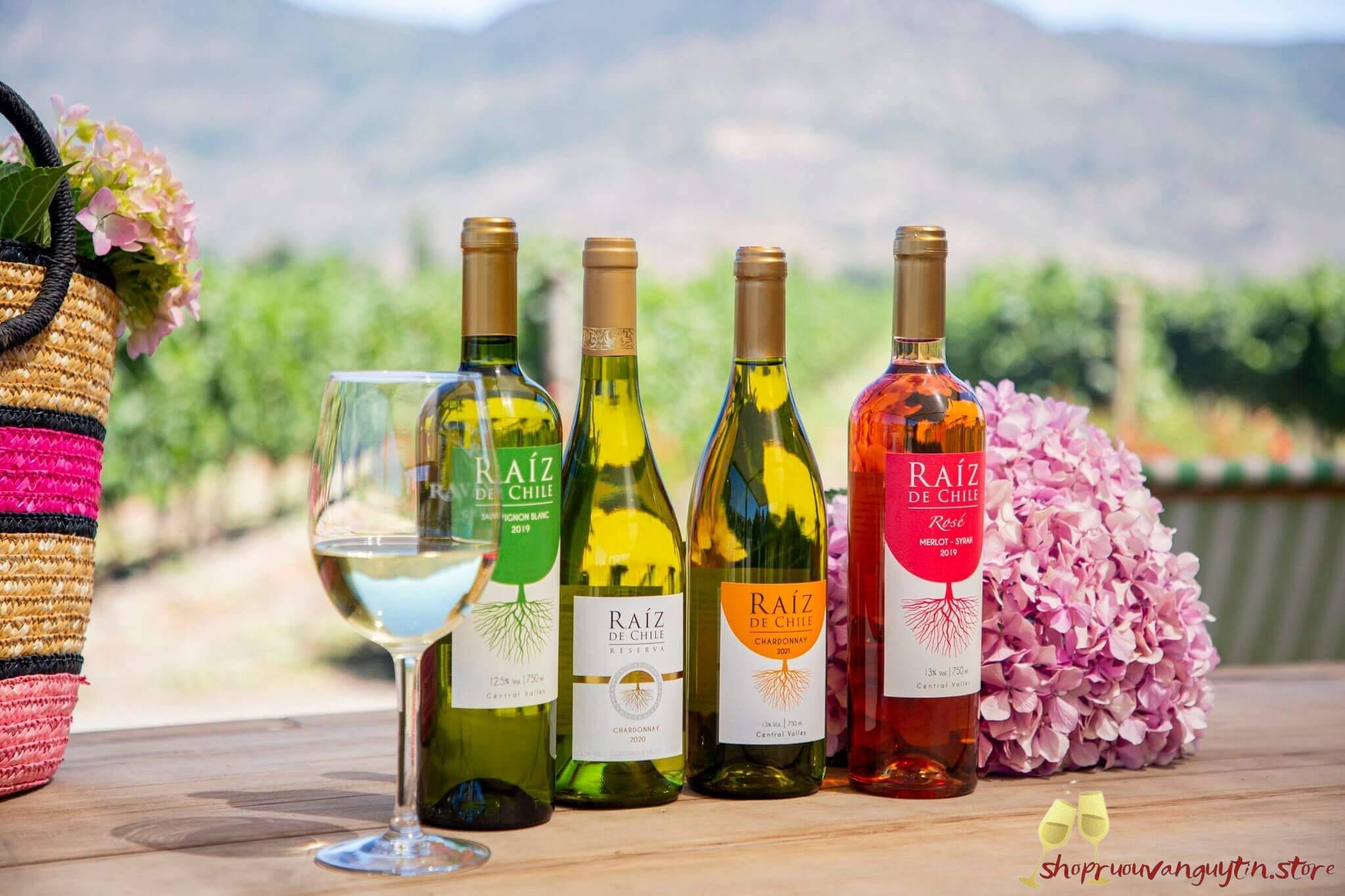 Raiz de Chile; Raiz de Chile Sauvignon Blanc; Raiz de Chile Chardonnay; Raiz de Chile Reserva Chardonnay