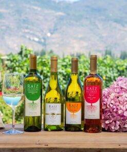 Raiz de Chile; Raiz de Chile Sauvignon Blanc; Raiz de Chile Chardonnay; Raiz de Chile Reserva Chardonnay