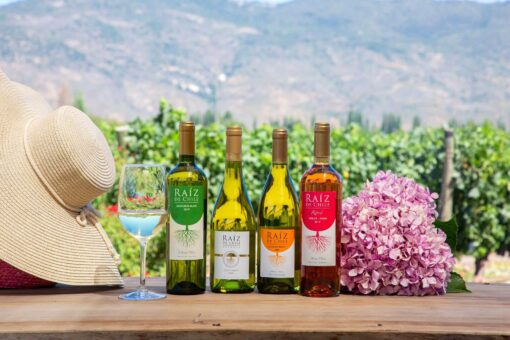 Raiz de Chile; Raiz de Chile Sauvignon Blanc; Raiz de Chile Chardonnay; Raiz de Chile Reserva Chardonnay