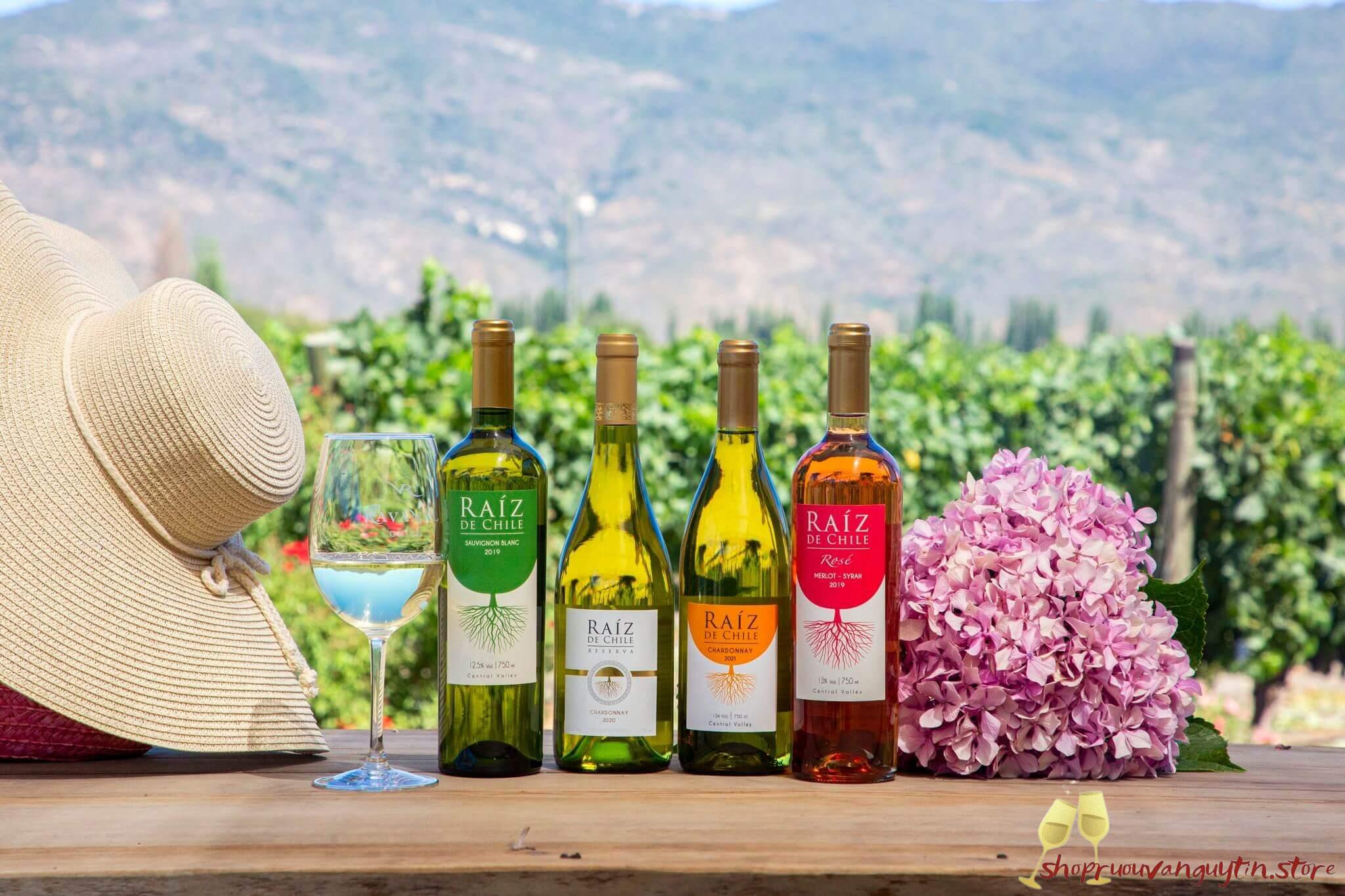 Raiz de Chile; Raiz de Chile Sauvignon Blanc; Raiz de Chile Chardonnay; Raiz de Chile Reserva Chardonnay