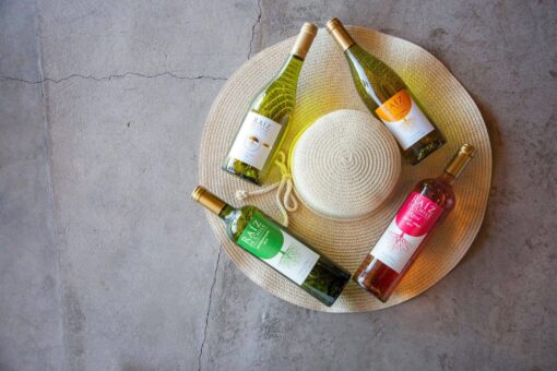 Raiz de Chile; Raiz de Chile Sauvignon Blanc; Raiz de Chile Chardonnay; Raiz de Chile Reserva Chardonnay