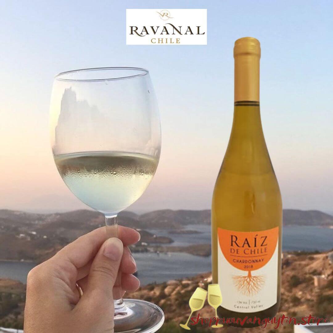 Raiz de Chile Chardonnay